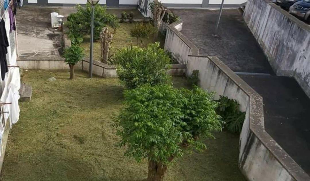 Apartamento Orquidea Ponta Delgada Kültér fotó